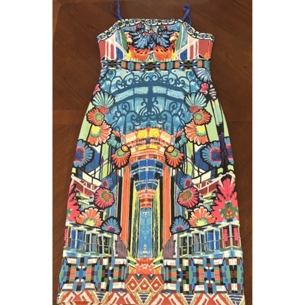 Anthropologie Champagne &‎ Strawberry Dress Maximalist Size S
